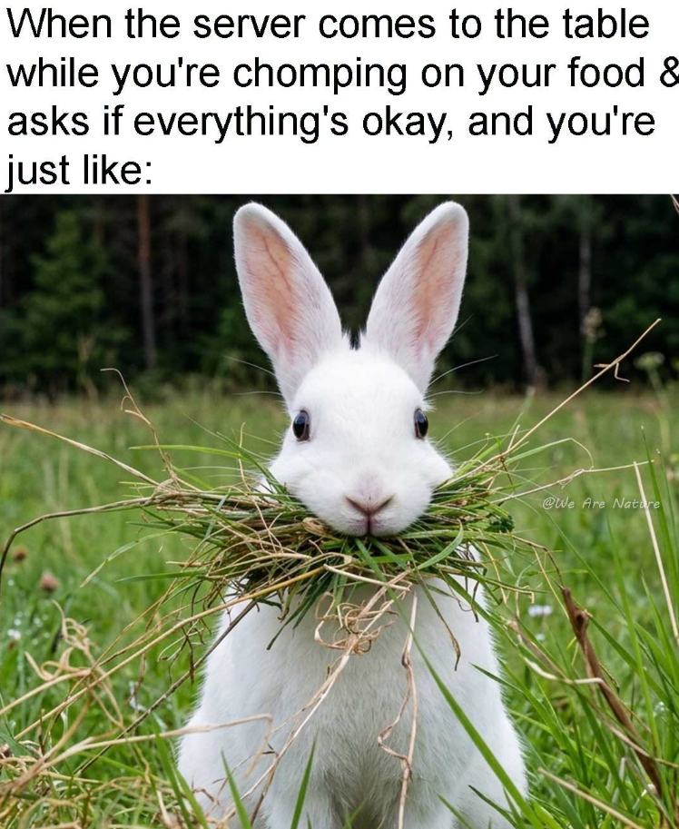 When the server comes to the table while you're chomping on your food & asks if everything's okay, and you're just like: @We Are Nature