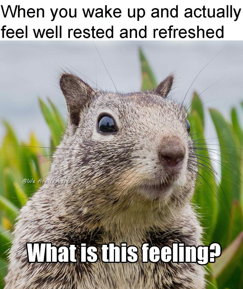 When you wake up and actually feel well rested and refreshed @We Are Nature What is this feeling?