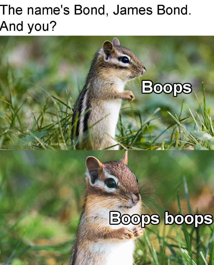 The name's Bond, James Bond. And you? @We Are Nature Boops Boops boops