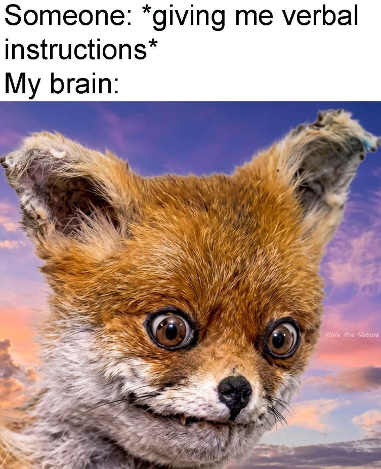 Someone: *giving me verbal instructions* My brain: @We Are Nature