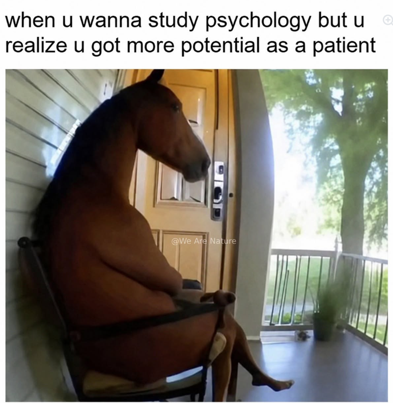 when u wanna study psychology but u realize u got more potential as a patient @We Are Nature