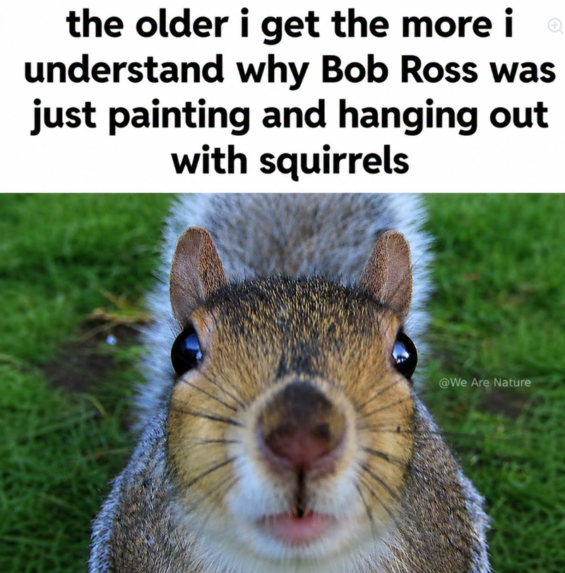 the older i get the more i understand why Bob Ross was just painting and hanging out with squirrels @We Are Nature