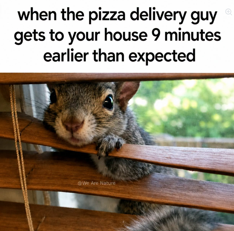 when the pizza delivery guy gets to your house 9 minutes earlier than expected @We Are Nature