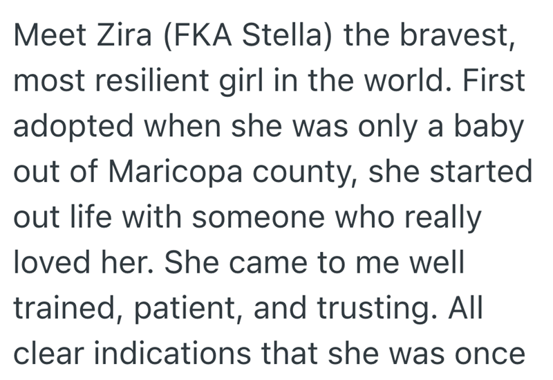 Meet Zira (FKA Stella) the bravest, most resilient girl in the world. First adopted when she was only a baby out of Maricopa county, she started out life with someone who really loved her. She came to me well trained, patient, and trusting. All clear indications that she was once