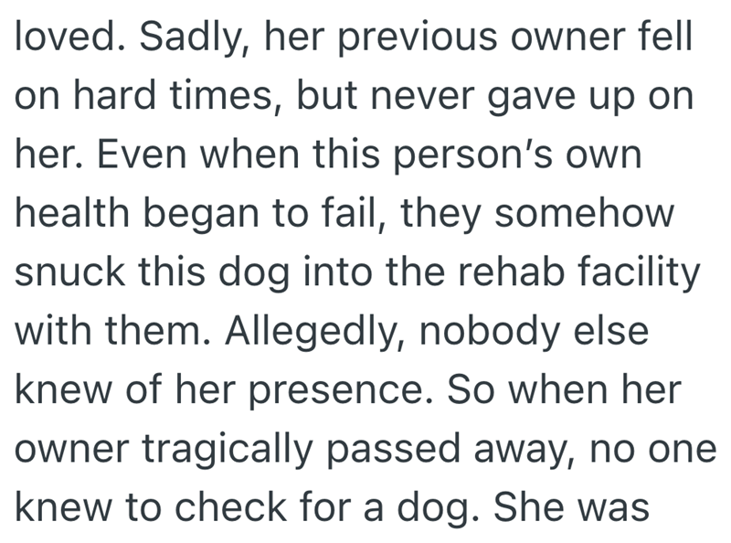 loved. Sadly, her previous owner fell on hard times, but never gave up on her. Even when this person's own health began to fail, they somehow snuck this dog into the rehab facility with them. Allegedly, nobody else knew of her presence. So when her owner tragically passed away, no one knew to check for a dog. She was