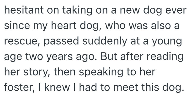 hesitant on taking on a new dog ever since my heart dog, who was also a rescue, passed suddenly at a young age two years ago. But after reading her story, then speaking to her foster, I knew I had to meet this dog.