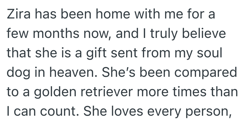 Zira has been home with me for a few months now, and I truly believe that she is a gift sent from my soul dog in heaven. She's been compared to a golden retriever more times than I can count. She loves every person,