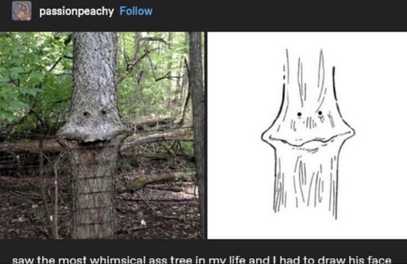 passionpeachy Follow saw the most whimsical ass tree in my life and I had to draw his face