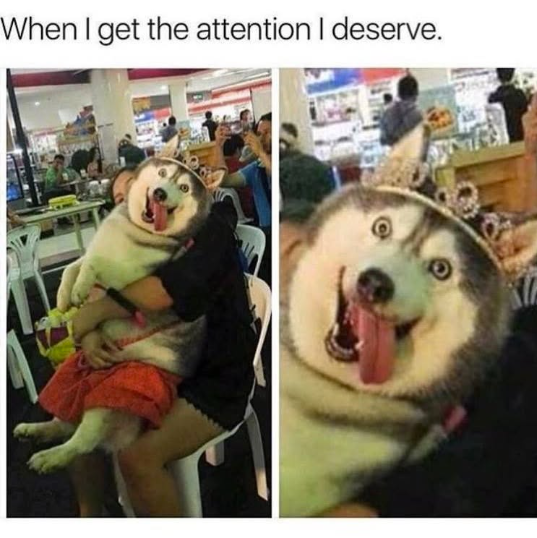 When I get the attention I deserve.