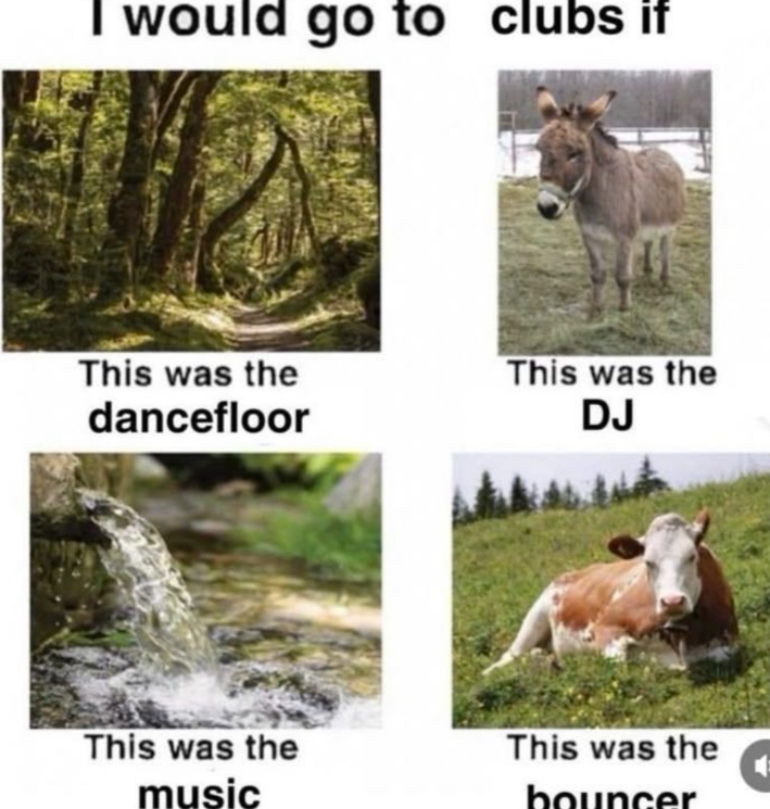 I would go to clubs if This was the dancefloor This was the DJ This was the music This was the bouncer