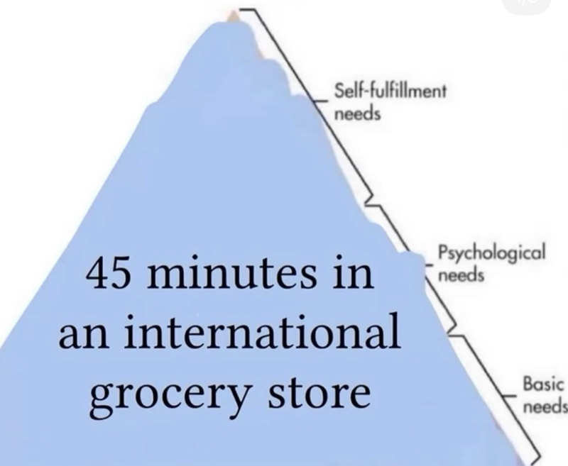 Self-fulfillment needs Psychological 45 minutes in needs an international grocery store Basic needs