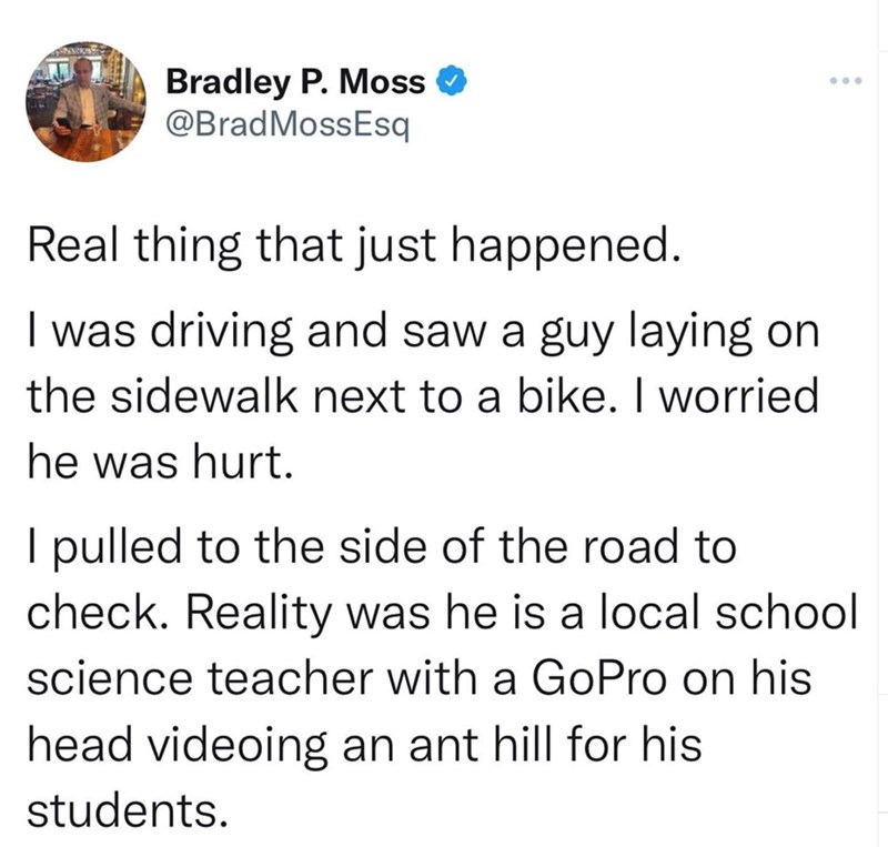Bradley P. Moss ✔ @Brad MossEsq Real thing that just happened. I was driving and saw a guy laying on the sidewalk next to a bike. I worried he was hurt. I pulled to the side of the road to ... check. Reality was he is a local school science teacher with a GoPro on his head videoing an ant hill for his students.