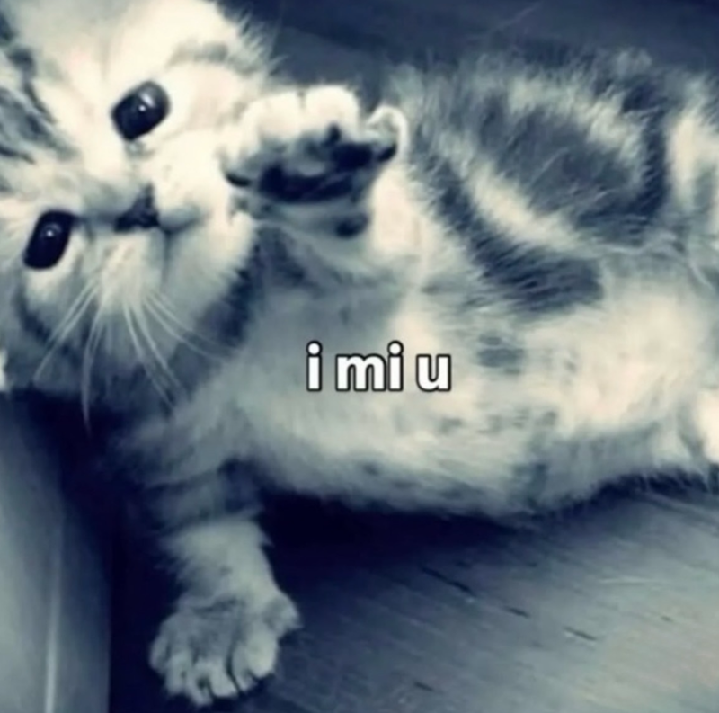 imiu