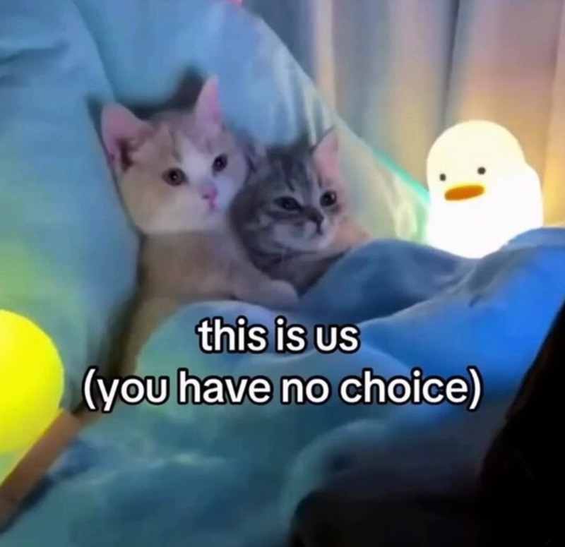 this is us (you have no choice)