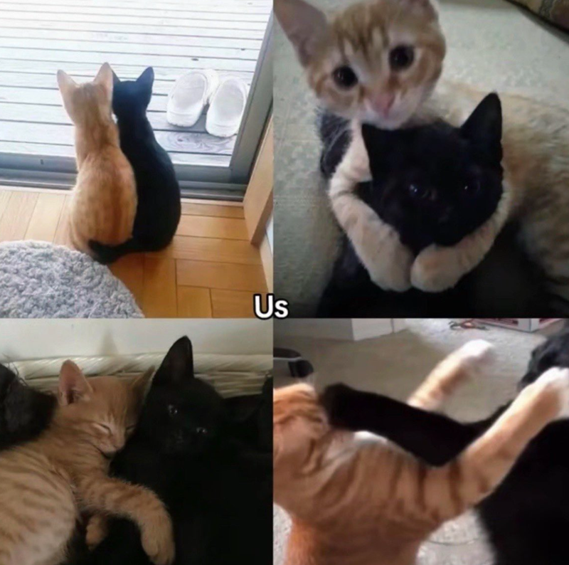 Us