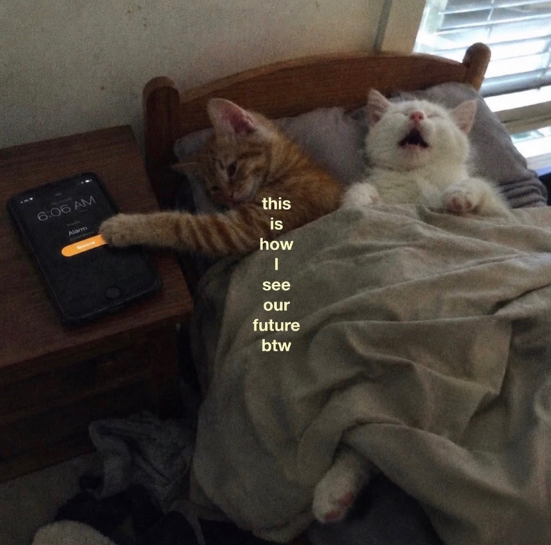 6:06 AM Alarm Snooze this is how - see our future btw