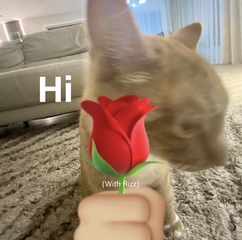Hi (With Rizz)