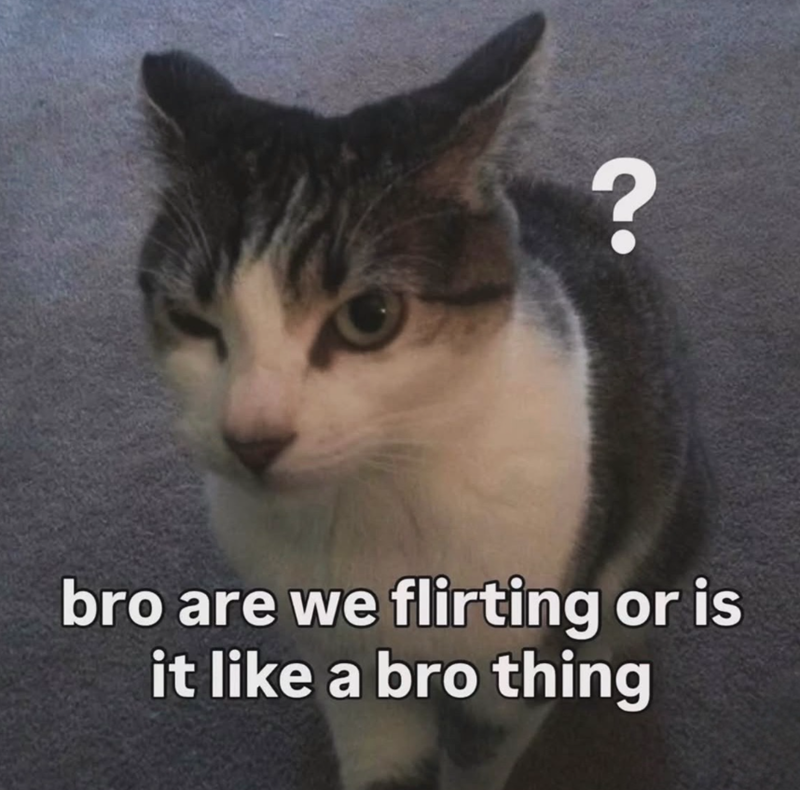 ? bro are we flirting or is it like a bro thing