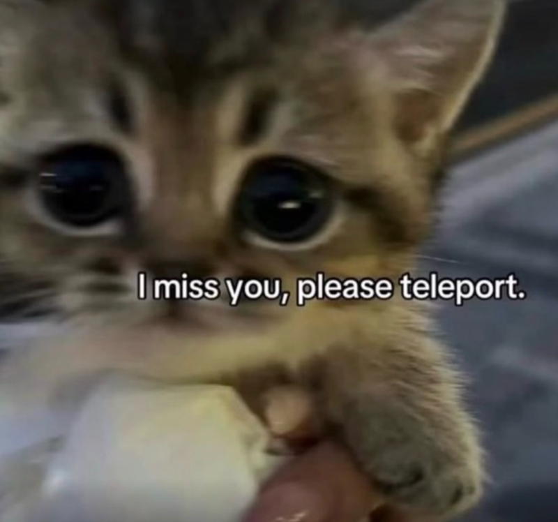 I miss you, please teleport.