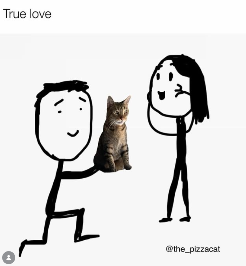 True love @the_pizzacat