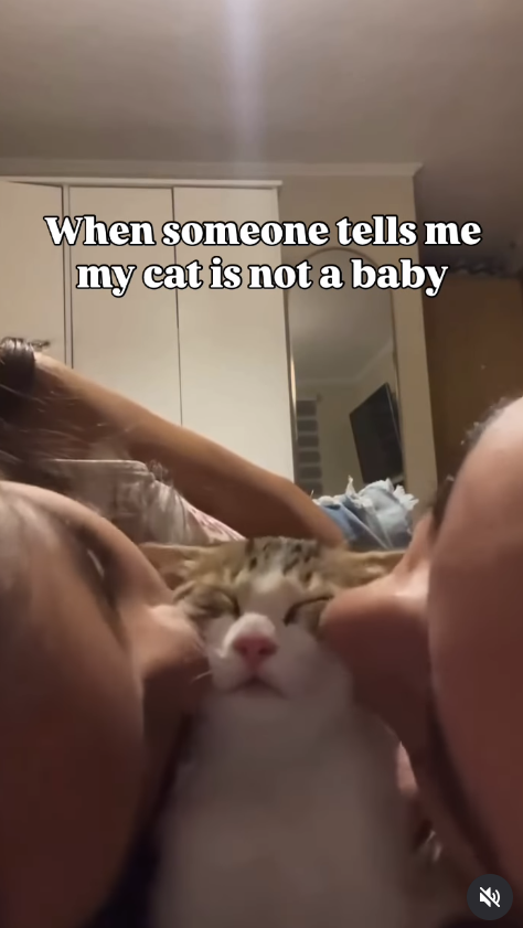 When someone tells me my cat is not a baby 龙 F1
