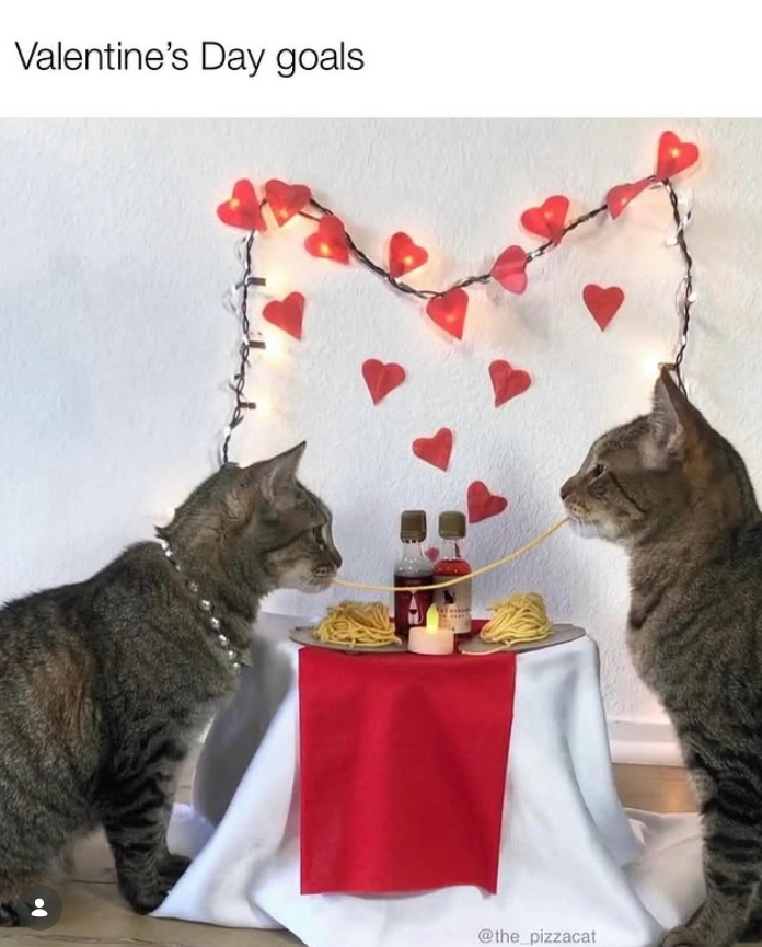 Valentine's Day goals @the_pizzacat
