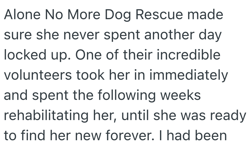 Alone No More Dog Rescue made sure she never spent another day locked up. One of their incredible volunteers took her in immediately and spent the following weeks rehabilitating her, until she was ready to find her new forever. I had been
