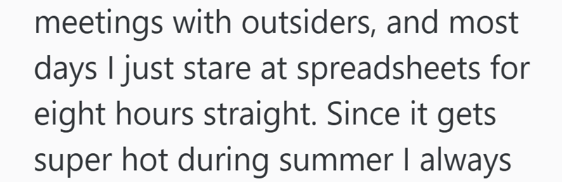 meetings with outsiders, and most days I just stare at spreadsheets for eight hours straight. Since it gets super hot during summer I always
