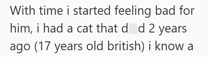 With time i started feeling bad for him, i had a cat that d d 2 years ago (17 years old british) i know a