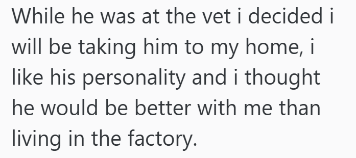 While he was at the vet i decided i will be taking him to my home, i like his personality and i thought he would be better with me than living in the factory.