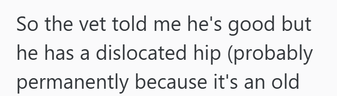 So the vet told me he's good but he has a dislocated hip (probably permanently because it's an old