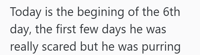 Today is the begining of the 6th day, the first few days he was really scared but he was purring
