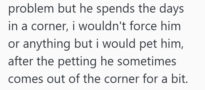 problem but he spends the days in a corner, i wouldn't force him or anything but i would pet him, after the petting he sometimes comes out of the corner for a bit.