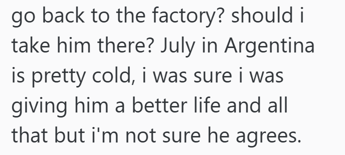 go back to the factory? should i take him there? July in Argentina is pretty cold, i was sure i was giving him a better life and all that but i'm not sure he agrees.