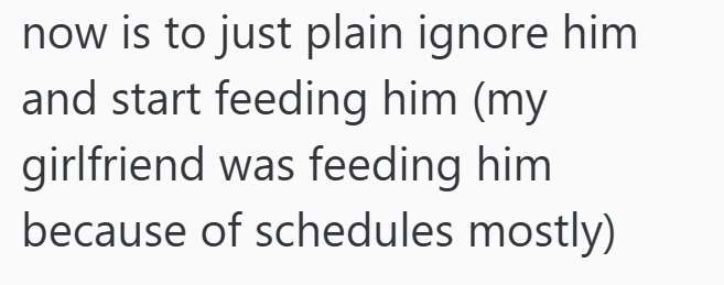 now is to just plain ignore him and start feeding him (my girlfriend was feeding him because of schedules mostly)