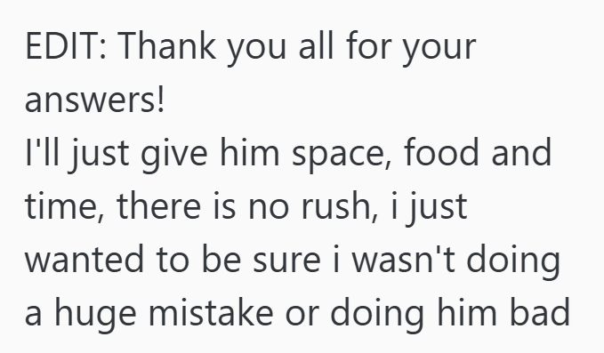 EDIT: Thank you all for your answers! I'll just give him space, food and time, there is no rush, i just wanted to be sure i wasn't doing a huge mistake or doing him bad