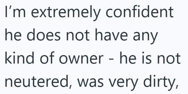 I'm extremely confident he does not have any kind of owner - he is not neutered, was very dirty,