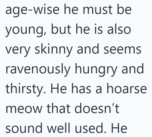 age-wise he must be young, but he is also very skinny and seems ravenously hungry and thirsty. He has a hoarse meow that doesn't sound well used. He