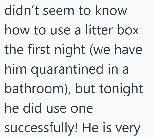 didn't seem to know how to use a litter box the first night (we have him quarantined in a bathroom), but tonight he did use one successfully! He is very