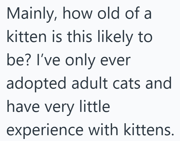 Mainly, how old of a kitten is this likely to be? I've only ever adopted adult cats and have very little experience with kittens.