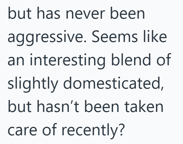 but has never been aggressive. Seems like an interesting blend of slightly domesticated, but hasn't been taken care of recently?