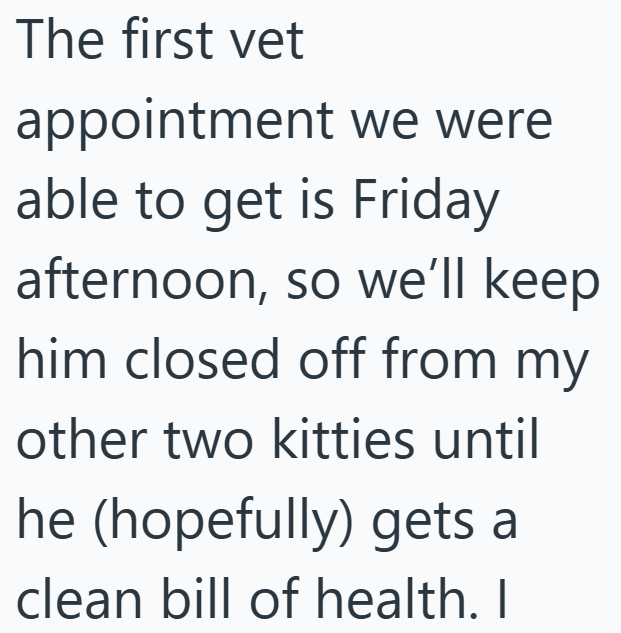 The first vet appointment we were able to get is Friday afternoon, so we'll keep him closed off from my other two kitties until he (hopefully) gets a clean bill of health. I