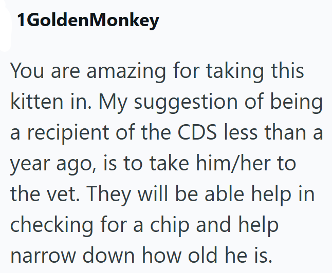 1GoldenMonkey You are amazing for taking this kitten in. My suggestion of being a recipient of the CDS less than a year ago, is to take him/her to the vet. They will be able help in checking for a chip and help narrow down how old he is.