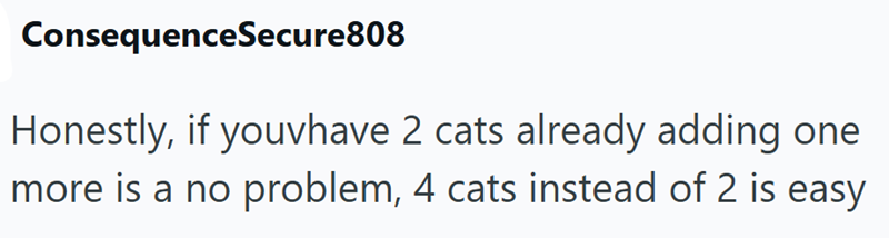 ConsequenceSecure808 Honestly, if youvhave 2 cats already adding one more is a no problem, 4 cats instead of 2 is easy