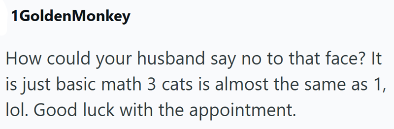 1GoldenMonkey How could your husband say no to that face? It is just basic math 3 cats is almost the same as 1, lol. Good luck with the appointment.
