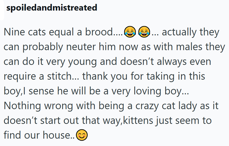 spoiledandmistreated Nine cats equal a brood........ actually they can probably neuter him now as with males they can do it very young and doesn't always even require a stitch... thank you for taking in this boy,l sense he will be a very loving boy... Nothing wrong with being a crazy cat lady as it doesn't start out that way, kittens just seem to find our house..