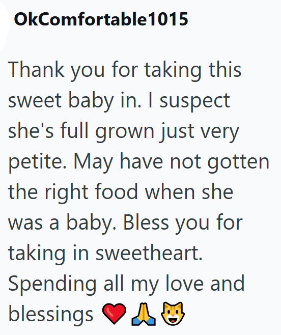 OkComfortable1015 Thank you for taking this sweet baby in. I suspect she's full grown just very petite. May have not gotten the right food when she was a baby. Bless you for taking in sweetheart. Spending all my love and blessings AC