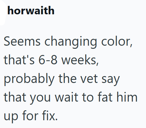horwaith Seems changing color, that's 6-8 weeks, probably the vet say that you wait to fat him. up for fix.