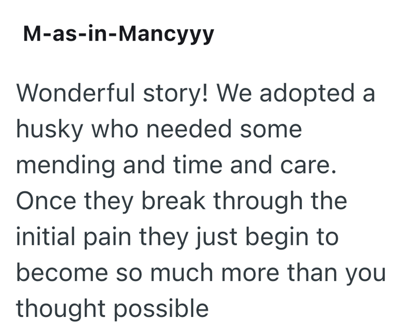 M-as-in-Mancyyy Wonderful story! We adopted a husky who needed some mending and time and care. Once they break through the initial pain they just begin to become so much more than you thought possible