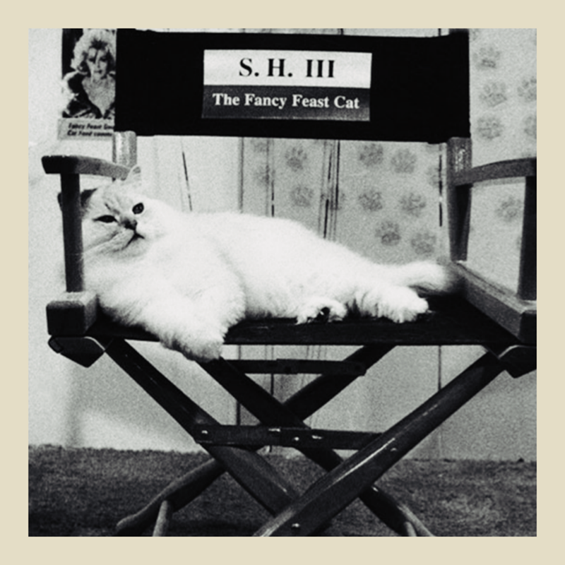 by S. H. III The Fancy Feast Cat